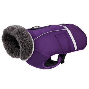 Reviews De Ropa De Perro Para Frio Que Puedes Comprar On Line