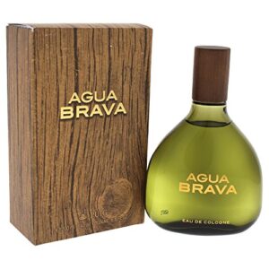 La Mejor Recopilacion De Agua Brava Azul Listamos Los 10 Mejores