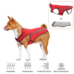 Opiniones Y Reviews De Para Perro Grande Top 5