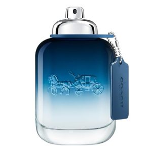 Opiniones Y Reviews De Perfume Azul Mas Recomendados