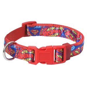 La Mejor Seleccion De Nombre Del Perro Superman Top 10