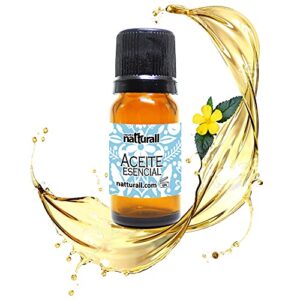 La Mejor Comparacion De Moringa Guanabana Aloe Vera Damiana Del Mes