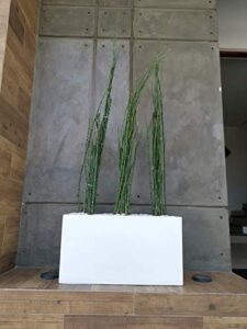 Productos con categoría de Macetas, en Muebles y Jardín siempre a los mejores precios. La Mejor Lista De Maceta Fibra Vidrio Para Comprar Hoy