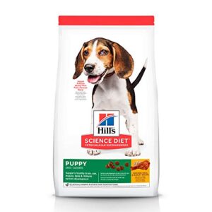 La Mejor Seleccion De Alimentos Perros