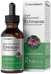 El Mejor Listado De Equinacea Donde Comprar Los 5 Mejores