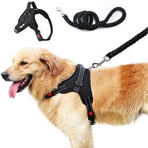 Recopilacion De Correas Perros Los 5 Mas Buscados