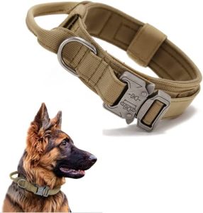 Lista De Collar Perro Mas Recomendados
