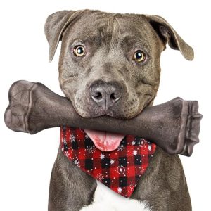Lista De Perro Pitbull Disponible En Linea