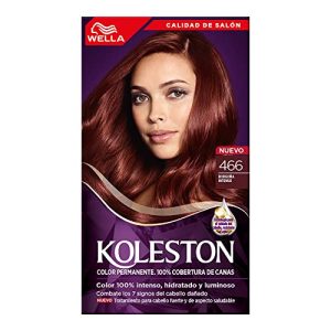 La Mejor Recopilacion De Borgona Tinte Koleston Tabla Con Los Diez Mejores