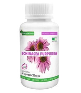 El Mejor Listado De Equinacea Donde Comprar Los 5 Mejores