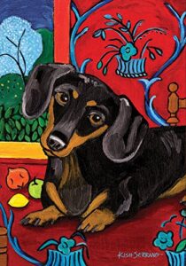 La Mejor Recopilacion De Para Perro Salchicha Disponible En Linea