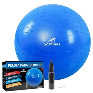 La Mejor Comparacion De Pelota Yoga Top 10